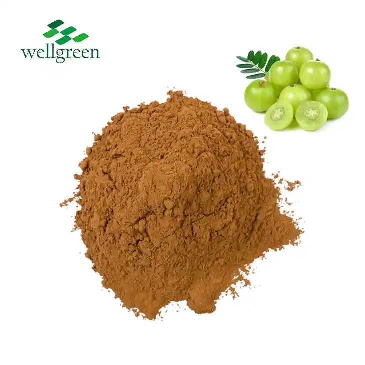 Phyllanthus Emblica Fruit Extract